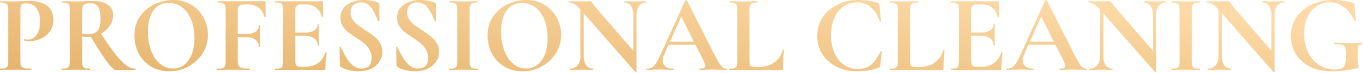 cleaning services Raleigh NC